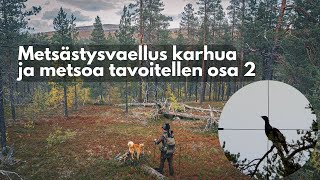 Metsästysvaellus karhua ja metsoa tavoitellen OSA 2  Erältä ja Elämästä [upl. by Natsreik]