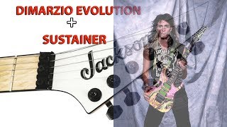 Dimarzio Pick up  Sustainer [upl. by Aicenod]