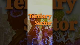 What is tertiary Sector  Tertiary Sector is also known as Service Sector  class9 economics [upl. by Swerdna]