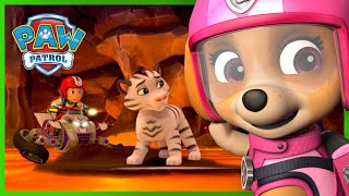 PAW Patrol  La Pat Patrouille  Les meilleures aventures avec les Supers chats   Nickelodeon Jr [upl. by Pascasia]