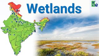 Wetlands of IndiaTypes of Wetlands Ramsar Sites  Importance of Wetlands UPSC Classes [upl. by Ianahs899]