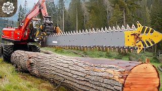 200 CRAZY Powerful Wood and Forestry Machines HeavyDuty Equipment That Are on Another Level [upl. by Yzus]