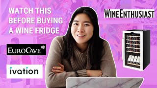 Watch this Before Buying a Wine Fridge  Guide on which Wine Storage Cooler is Best for You [upl. by Ormiston]