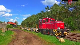 AVL 230 41 unterwegs auf der OHE zwischen Lüneburg und Soltau [upl. by Adela742]