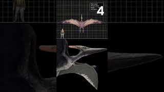 5 CURIOSIDADES DEL PTERANODON LONGICEPS DE LA FRANQUICIA JURASSIC [upl. by Noid]