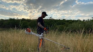 Stihl Fs 561C with durocut 404 trimmer head cutting dry big grass [upl. by Gardener]