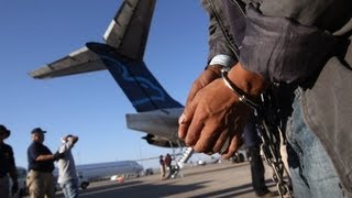 US deports record number of criminals [upl. by Laurianne234]