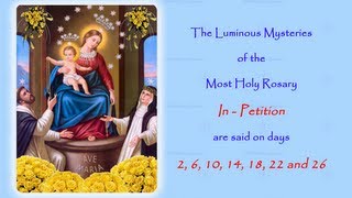 The Luminous Mysteries  In Petition  Annual 54 Day Rosary Novena [upl. by Tobias505]