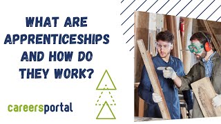 What Are Apprenticeships And How Do They Work  Careers Portal [upl. by Goren]