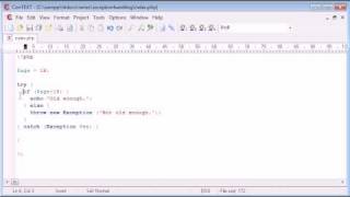 Beginner PHP Tutorial  186  try throw catch [upl. by Roach]