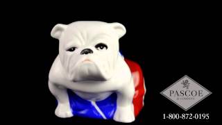 Royal Doulton Animal Figurine Jack Bulldog DD007 [upl. by Joy]