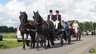 Fraeylema Koetsentocht 2017 Van Schildwolde tot Siddeburen [upl. by Clarine488]