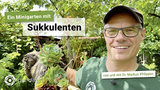 Sukkulenten pflanzen teilen vermehren Minibeet als Tischdeko  gardify Tipps [upl. by Ayita765]