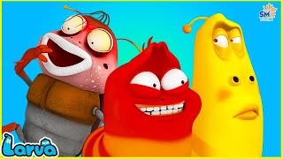 LARVA SEASON 3 EPISODE 128  230 🍟 NEST VERSION LARVA 2024  MINI SERIES FROM ANIMATION LARVA [upl. by Greggs]