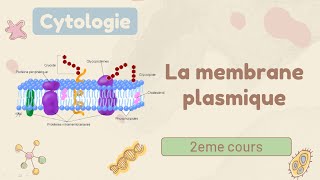 Cytologie  la membrane plasmique  cours de 1er année médecine [upl. by Cinimmod737]