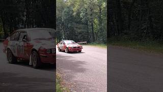 Il suono fantastico del 6 cilindri dellAlfa Romeo GTV 25i degli anni 80 al rally storico [upl. by Thackeray]