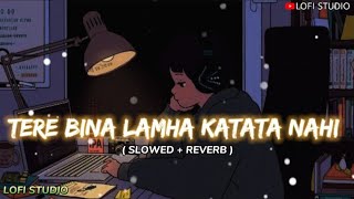 Tere Bina Lamha Katha Nahi ❤️  Mind Relax Song 💞  Slowed And Reverb Song 🔥  LOFISTUDIO134 [upl. by Dahcir]