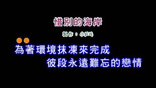 伴奏版江蕙惜別的海岸DIY卡拉OK字幕 [upl. by Eidolem259]