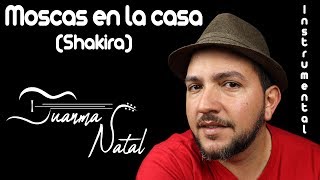 Moscas en la casa Shakira INSTRUMENTAL  Juanma Natal  Guitar  Cover  Lyrics [upl. by Milurd]