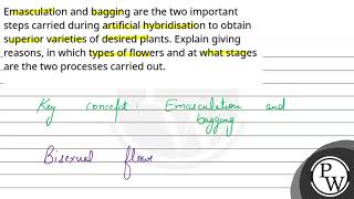 Emasculation and bagging are the two important steps carried during artificial hybridisation to [upl. by Ayatnohs]