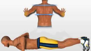 Musculos Pectorales Flexiones Explosivas [upl. by Nonnelg]