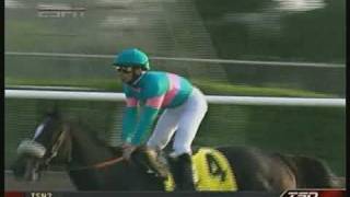 Zenyatta Breeders Cup Classic  Extended PostRace Coverage Stereo [upl. by Aihsit]