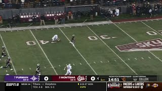 Furman kicker gets ankles broken and walks off the field [upl. by Barram]