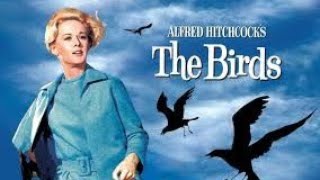 The Birds 1963 Suspense Thriller ‧Alfred Hitchcock Mystery [upl. by Ahsinyt503]