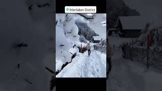 Interlaken district  interlaken vlog  interlaken walking tour  song rap love [upl. by Delogu343]