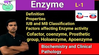 Enzymes L1 [upl. by Ellahcim]