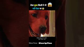 The Big Red Dog movie Explain in Hindi shorts dog [upl. by Ule]