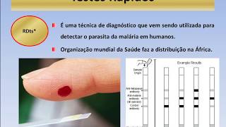 Aula 05 Diagnóstico Laboratorial das Parasitoses [upl. by Kciredes]