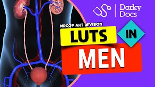 LUTS Lower Urinary Tract Symptoms in Men I The MRCGP AKT Exam Revision I Dorky Docs [upl. by Zelle198]