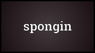 Spongin Meaning [upl. by Enelez863]