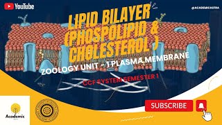 Plasma Membrane Lipid BilayerPhospholipid amp Cholesterol Unit1 Zoology CCF System Semester 1 [upl. by Adnalro]