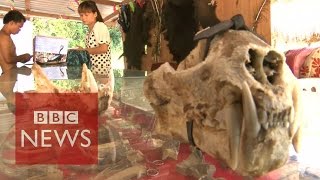 Undercover in Myanmars Sin city where anything goes  BBC News [upl. by Vacuva]