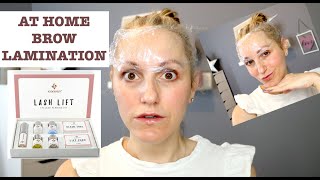 HD Brow Lamination Step By Step Tutorial Big Brows [upl. by Eninahpets909]