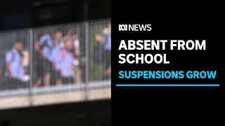 Boy with disability suspended from school more than 10 times  ABC News [upl. by Kawai270]