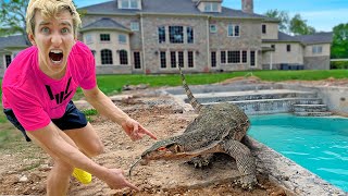 Massive Alligator in my BACKYARD SWIMMING POOL [upl. by Au]