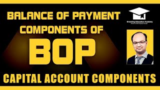 Balance of Payment  Components of BOP  Capital Account Components  Part 8  Macroeconomics [upl. by Laurence597]