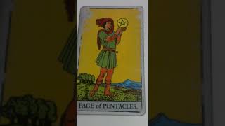 The Page of Pentacles as Feelings in a Love Reading [upl. by Chessy941]