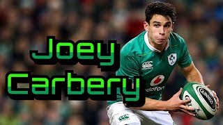 Joey Carbery  Highlights 2019 [upl. by Baalman]