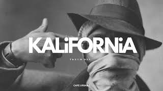 Yasiin Bey  Kalifornia  CU [upl. by Nothgierc]