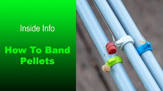 Inside Info  How To Band Pellets [upl. by Ellocin222]