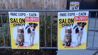 Salon des chiots et des chatons [upl. by Lesirg]