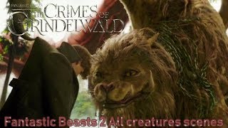 Panful of Niffler  Fantastic Beasts The Secrets of Dumbledore [upl. by Sigismondo]