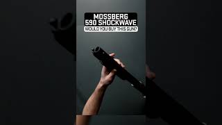 Would you get this shotgun Mossberg 590 Shockwave [upl. by Heindrick]