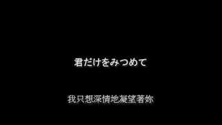 True Love 1993  Lyrics 日中歌詞 [upl. by Edge]