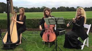 Classical Trio  Harp Violin Cello  Pachelbels Canon [upl. by Min974]