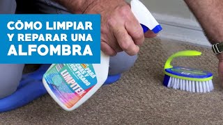 ¿Cómo limpiar y reparar una alfombra muro a muro [upl. by Asteria957]